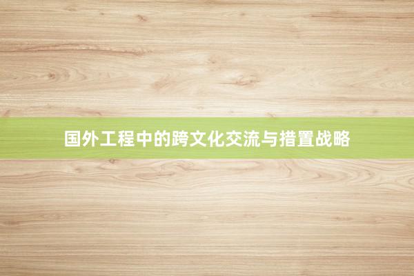 国外工程中的跨文化交流与措置战略