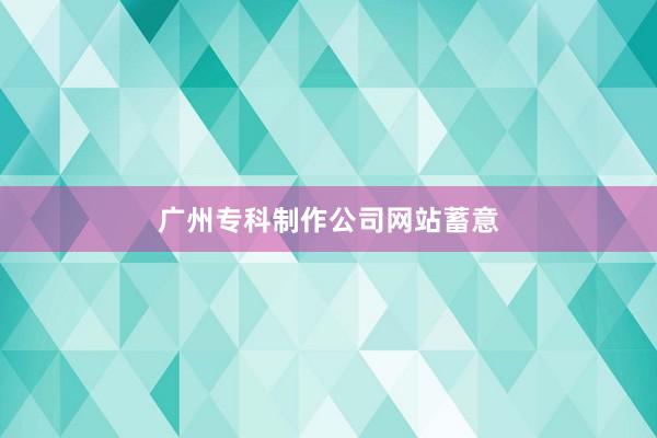 广州专科制作公司网站蓄意