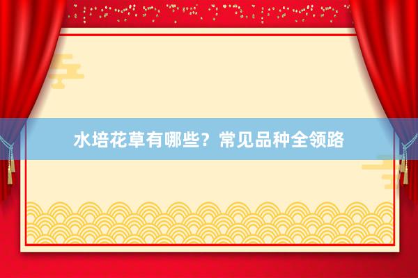 水培花草有哪些？常见品种全领路