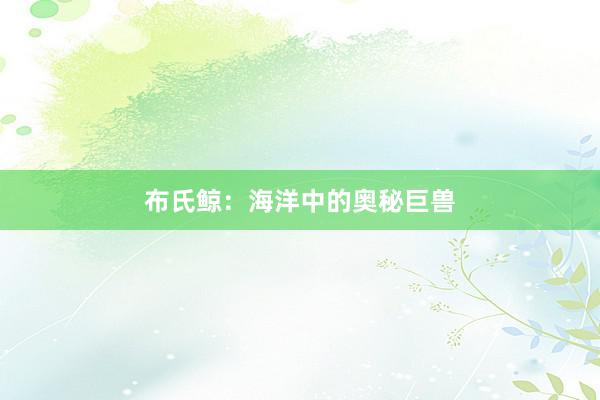 布氏鲸：海洋中的奥秘巨兽